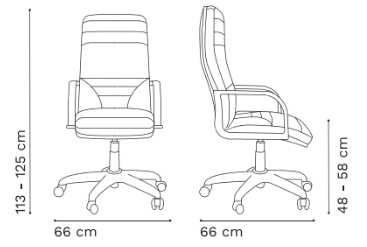 Plano del Producto
