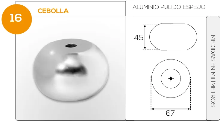 Cebolla